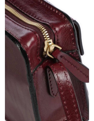 The Bridge Lucrezia Camera Bag Grape – Borsa a tracolla in pelle