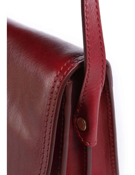 Borsa a tracolla The Bridge Story Donna in pelle